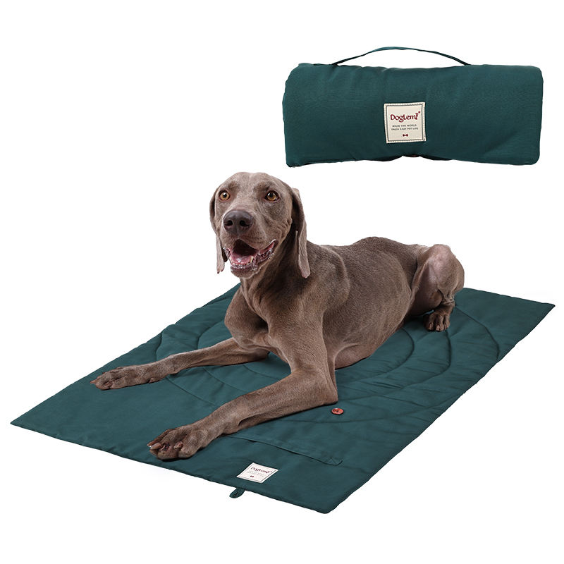 حصيرة الحيوانات الأليفة المحمو - مراجعة Camping Cot Foldable وسعره